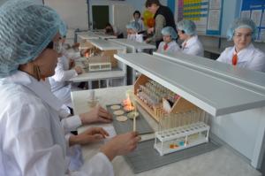 cursuri de specialitate, Ministerul Educației a Teritoriului Krasnoyarsk (de specialitate) cursuri de specialitate, Ministerul Educației a Teritoriului Krasnoyarsk