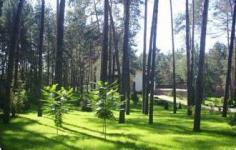 Turism sportiv ca (turismul sportiv) stil de viață Turism sportiv ca un stil de viață