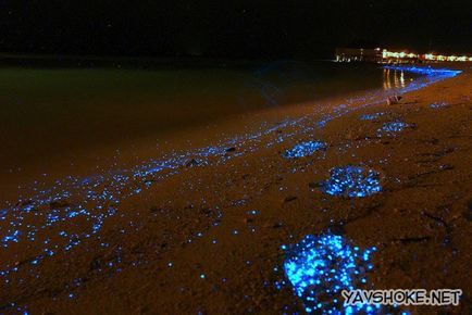 plaje Glowing (strălucire) plaje stralucitoare