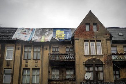 Deci, câștigătorii trăiesc (vii) Deci, câștigători vii