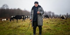 Acolo, pentru o mită poate fi orice „, Lukașenko a declarat reporterilor că despre România (mită) Acolo, pentru o mită poate fi orice „, Lukașenko a declarat reporterilor că despre România