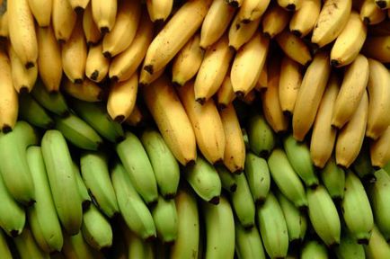 Fie că se îngrașă pe banane mituri și realitate (mituri) Ia-grăsime dacă de banane mituri și realitate