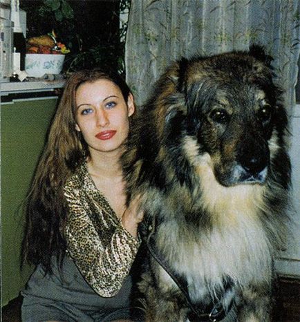 Top 10 cel mai mare caine din lume (câine) Top 10 Cel mai mare câine din lume