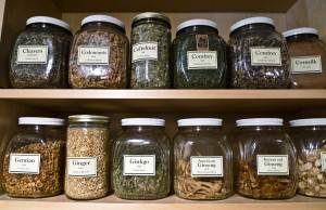 Plante medicinale pentru gradina (curte) Ierburi pentru grădină
