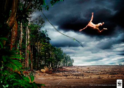Killing natura, ne ucide! (Propriul) Killing natura, ne ucide!