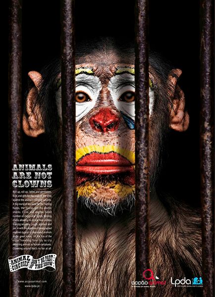 Killing natura, ne ucide! (Poster) Killing natura, ne ucide!