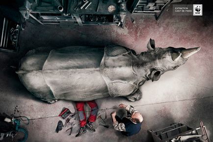 Killing natura, ne ucide! (Poster) Killing natura, ne ucide!