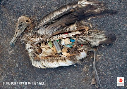 Killing natura, ne ucide! (Poster) Killing natura, ne ucide!