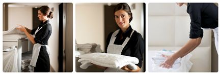 TOALETELOR „reguli de lucru Departamentul de menajeră (departament) Toaletei „servitoare fabrică reglementări Departamentul