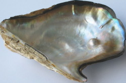 Bijuterii din perle (ornamente) Bijuterii din perle