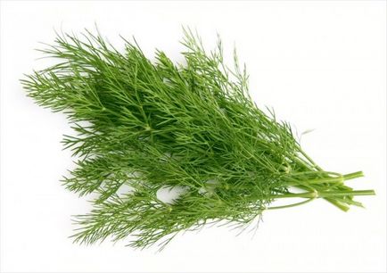 Mararul alăptează produs de valoare (alăptarea mărar) alăptarea Dill produs valoros