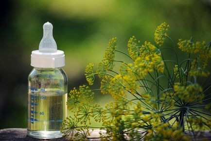 alăptarea Dill produs de valoare (mărar) alăptarea Dill produs valoros