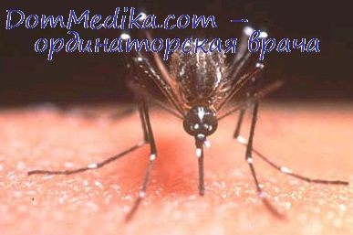 Distrugerea larvicide larve (Paris verde pentru a ucide tantari) Distrugerea larvicide larve