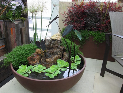 Designul unic al grădinii (fântâni Bird Cade sale de baie) Design-ul unic al grădinii