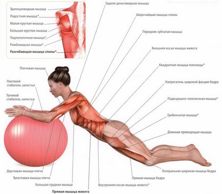 Exerciții și formare pe fitball slăbire (pentru femei) Exerciții și formare cu privire la slăbire fitball
