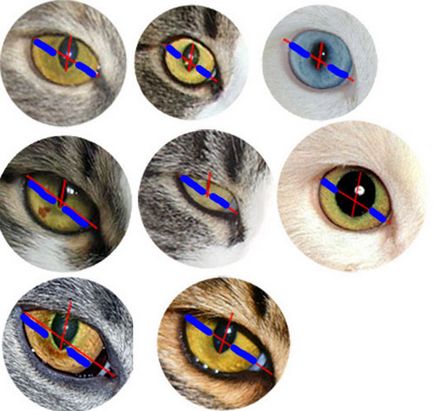 Lecții Photoshop (Photoshop) Tutoriale Photoshop