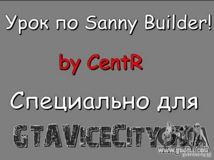 Lecția pentru constructor Sanny (eticheta) Lecția pentru constructor Sanny