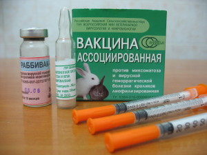 Vaccinul împotriva mixomatoză la iepuri și VGBK (VGBK) Vaccinul împotriva mixomatoză la iepuri și VGBK