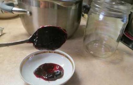 Blackcurrant jam - 5 rețete (jeleu de coacaze) Coacăze negre gem - 5 rețete