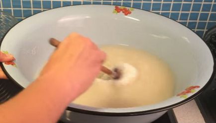 Cinci minute rețete gem blackcurrant (cinci minute) Cinci minute rețete gem de coacăze negre