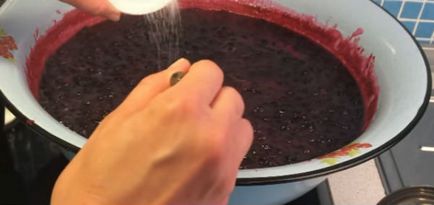 gem de cinci minute de rețete de coacăz negru (rețete) Cinci minute rețete gem de coacăze negre