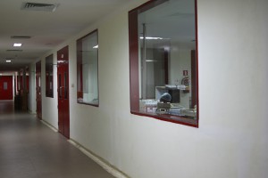 Vedaya - cosmetice Ayurveda (Ayurveda viață știință) Vedaya - cosmetice ayurvedic