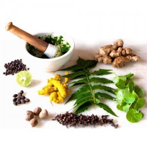 Vedaya - cosmetice ayurvedic (Amla Brahmi Bhangra) Vedaya - cosmetice ayurvedic