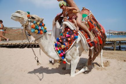 În Egipt, cu un copil mic, Hurghada (Egipt) În Egipt, cu un copil mic, Hurghada