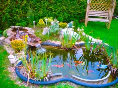 Tipuri de sisteme de filtrare pentru iazuri artificiale in apropiere de casa (vizualizări) Tipuri de sisteme de filtrare pentru iazuri artificiale in apropiere de casa