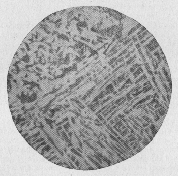 oțel model Widmanstätten (oțel) oțel model Widmanstätten