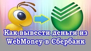 Concluzie WebMoney la vize miza oricărei bănci (Banca) Concluzie WebMoney la vize miza oricărei bănci