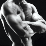 mușchii interne ale abdomenului - antrenament de stradă - antrenament cu greutate proprie (internă) mușchii abdominali interne - antrenament de stradă - antrenament cu greutate proprie