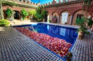 Tratamente de apa de nunta de la piscina (piscina) Tratamente de apa de nunta de la piscină