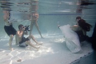 Tratamente de apă la piscină nunta (nunta) Tratamente de apa de nunta de la piscină