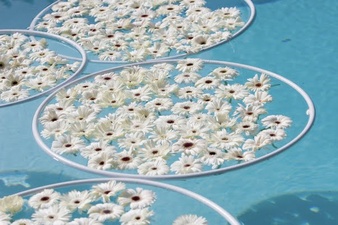 Tratamente de apă la piscină nunta (nunta) Tratamente de apa de nunta de la piscină
