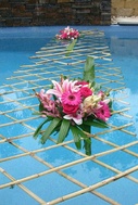Tratamente de apa de nunta de la piscina (piscina) Tratamente de apa de nunta de la piscină