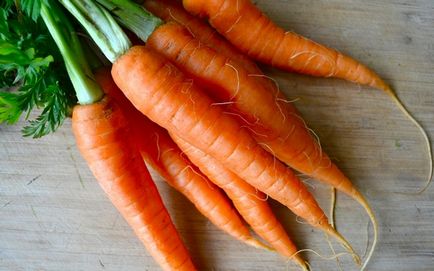 Daune de morcovi