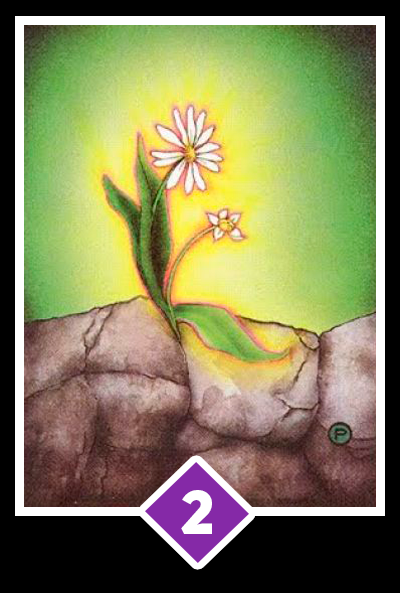 Celebre Osho divinație (hartă selectată One) Osho divinație Celebre