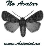 Asterial web design - crearea de site-uri (dezvoltarea site-ului) Asterial web design - crearea de site-uri