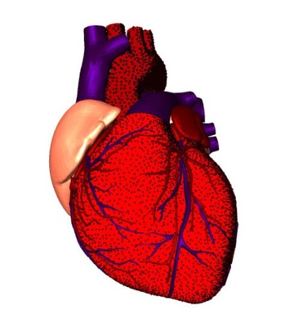 infarct miocardic si diabetul pericol de sănătate și de viață (diabet zaharat) Infarct miocardic si diabetul pericol pentru sănătatea și viața