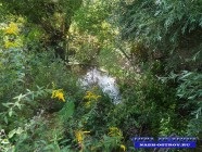 insula noastră (foto). insula noastră