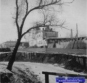 insula noastră (pui) insula noastră
