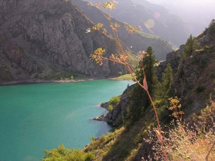 Teritoriul de apă curată - lacul Uzbekistanului sub controlul oamenilor de știință (de apă) Teritoriul de apă curată - lacul Uzbekistanului sub controlul oamenilor de știință
