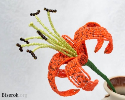 Tiger Lily (mărgele coboară în jos) tigru crin