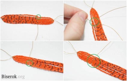 Tiger Lily (crin) tigru crin
