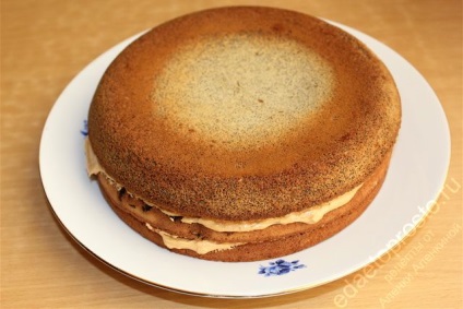 natasha tort (tort natasha) tort Natasha