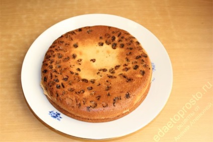 natasha tort (natasha) tort Natasha