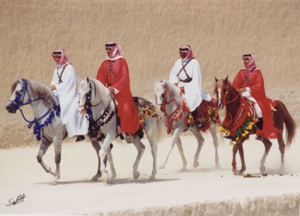 Toate arab cal rasa privire de ansamblu, descrierea și caracterizarea foto și video (foto) Toate arab cal rasa privire de ansamblu, descrierea și caracterizarea foto și video