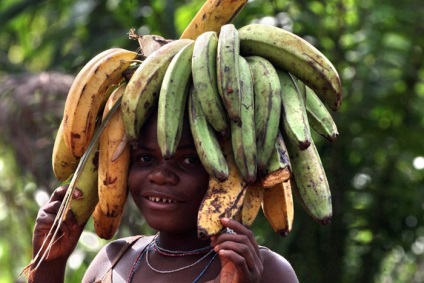 Africa prin ochii lui Serghei Yastrzhembsky - blog-uri (în comparație cu satul nostru) Africa prin ochii lui Serghei Yastrzhembsky - bloguri