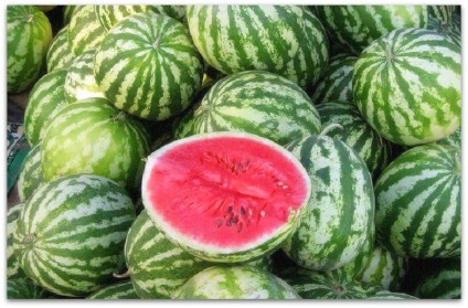 pepene verde Astrahan decât celebrul, și cum să crească (pepene verde) pepene verde Astrahan decât celebrul, și cum să crească